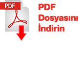PDF-Icon2