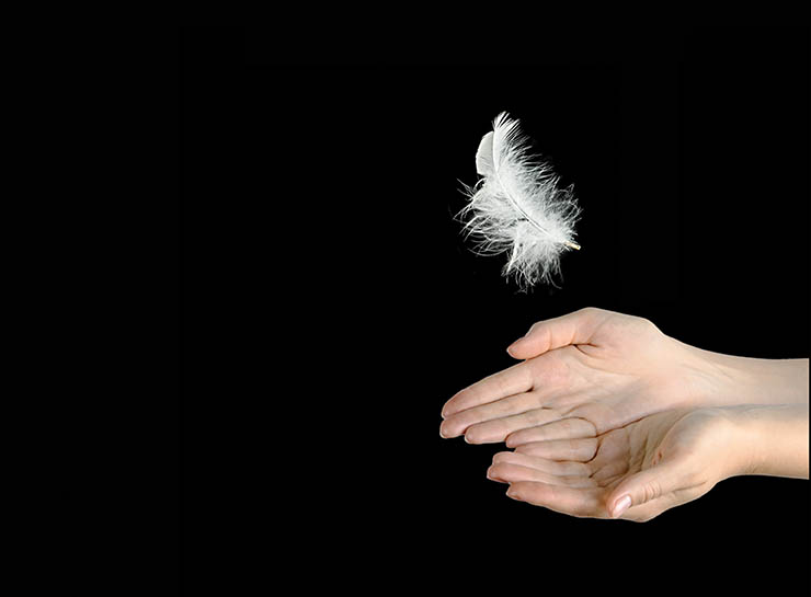 Close up of white feather falling to hands